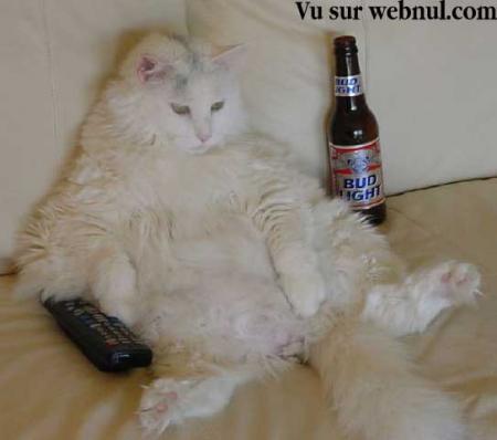 COOL LA VIE